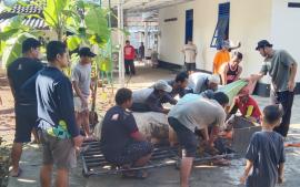Hari Raya Kurban di Karangrejek, Sembelih 40 Sapi dan 107 Kambing